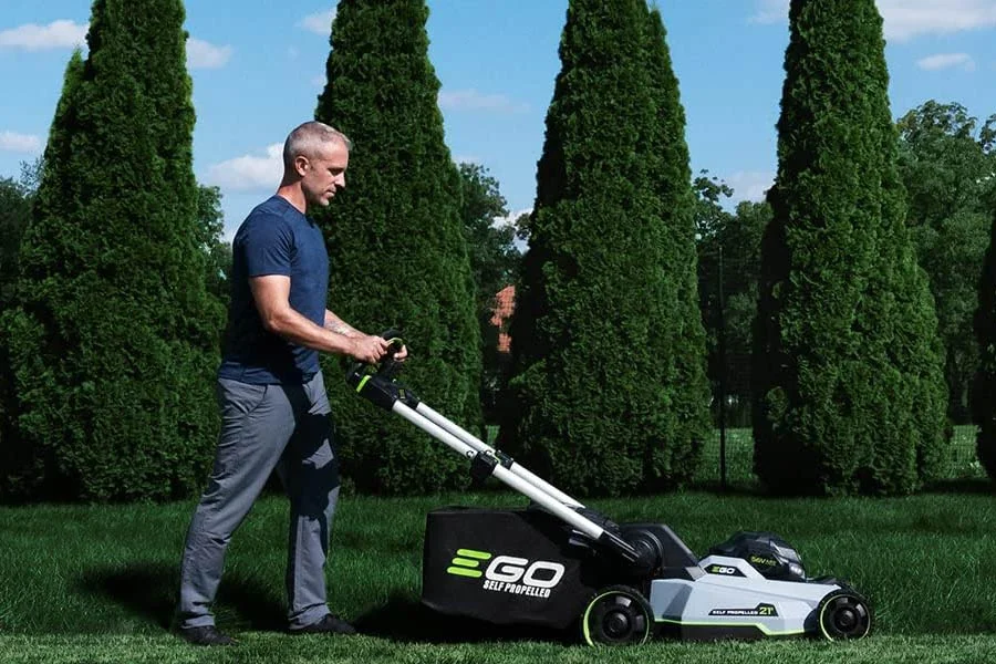 best cordless lawn